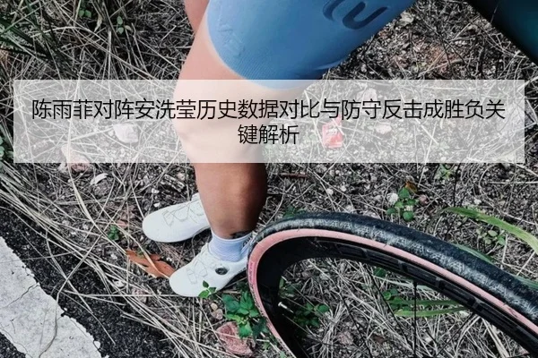 陈雨菲对阵安洗莹历史数据对比与防守反击成胜负关键解析